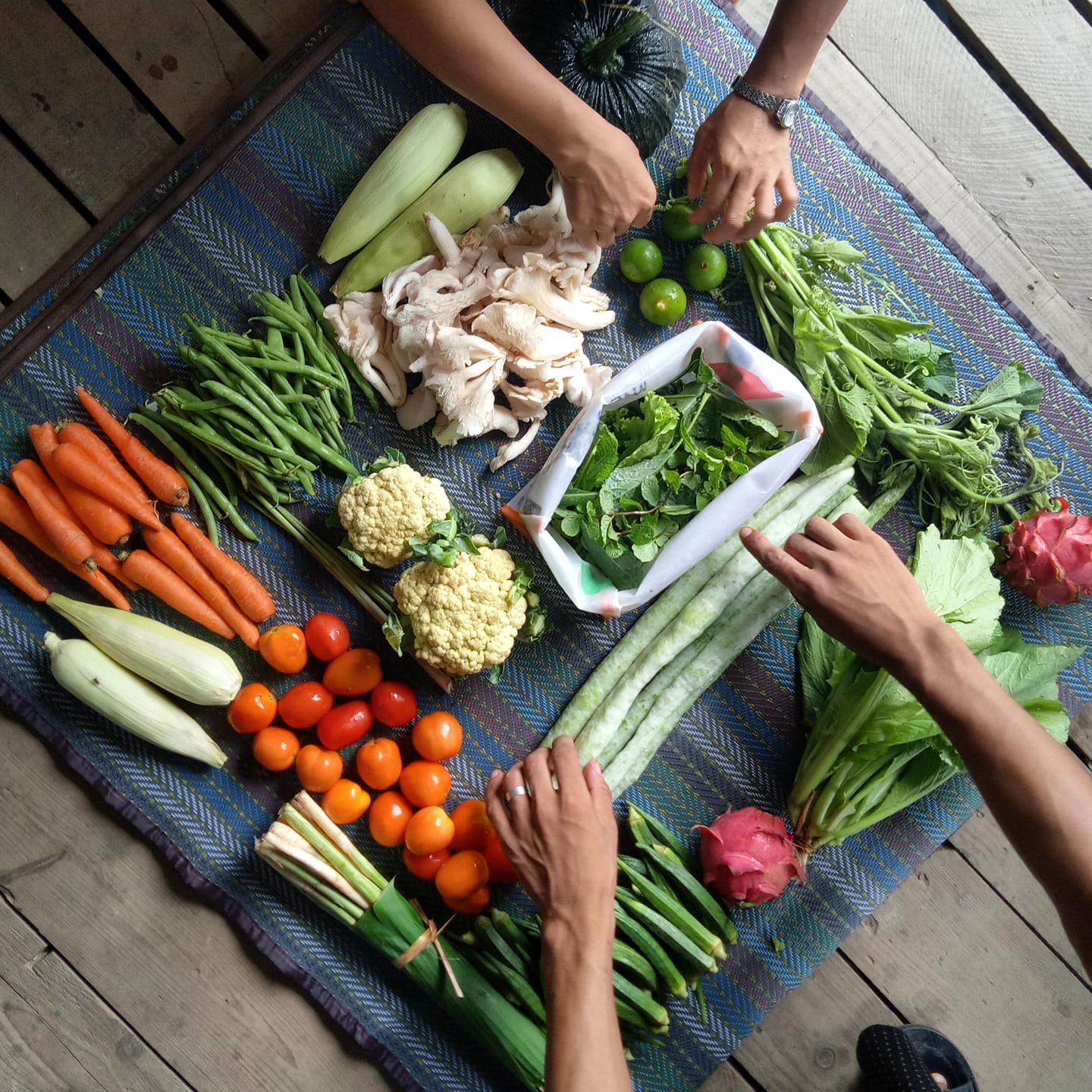 Some of the produce at Kokkoya Organics. (Supplied)