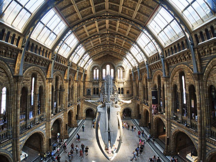 London's Natural History Museum is offering free virtual tours. (Neil Howard / Flickr)