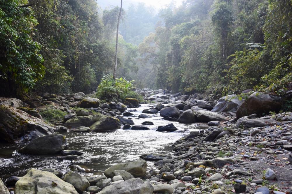 A creek in Myanmar's Nagaland. (Ben Frederick)