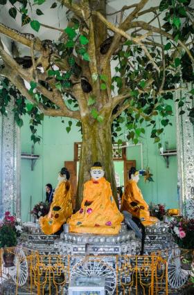 Spot the pythons in the pagoda. (Marie Starr)