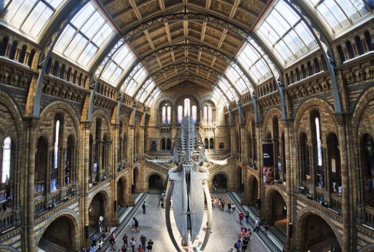 London's Natural History Museum is offering free virtual tours. (Neil Howard / Flickr)