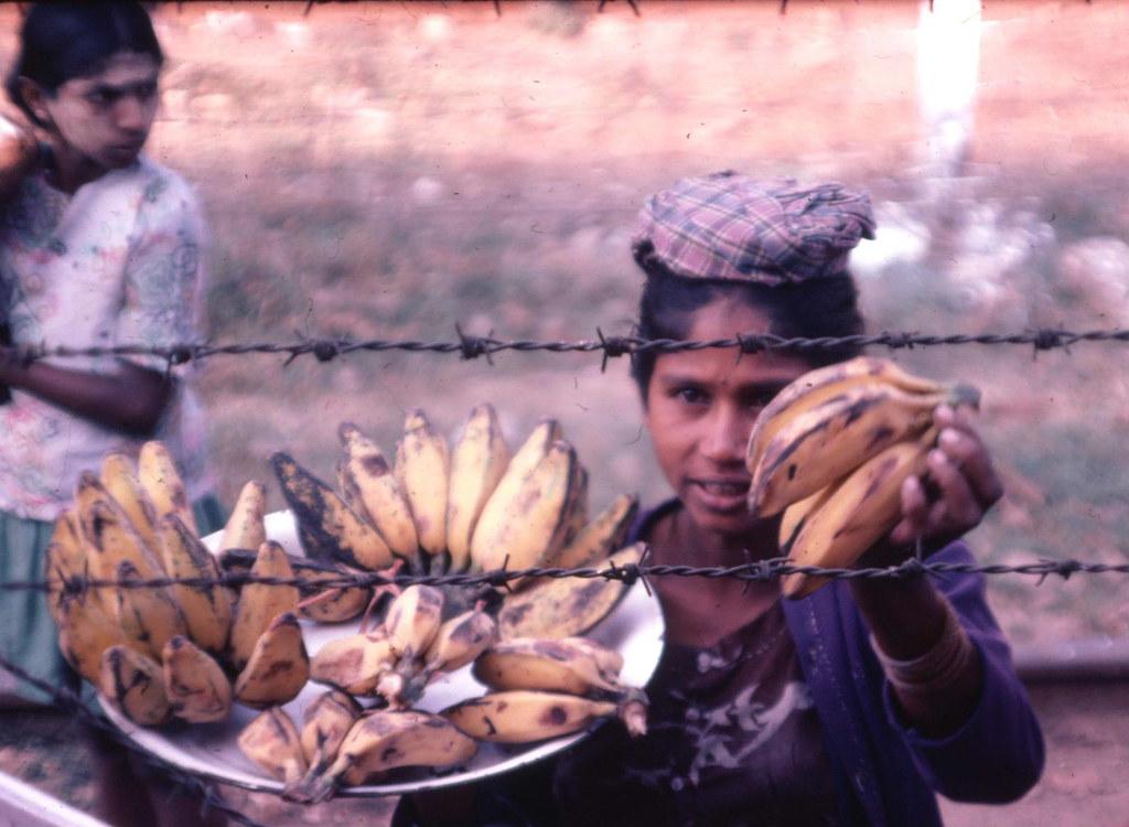 A woman sells bananas on the route of the Yangon-Mandalay train.