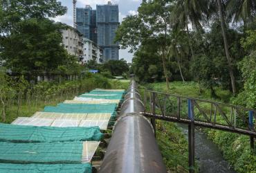  Plans for bamboo structures are being developed along an 80-year-old pipeline running through Yangon. (Matias Bercovich)