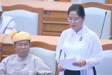 Union Solidarity and Development Party lawmaker Nan Ni Ni Aye in Myanmar's parliament. (Screenshot)