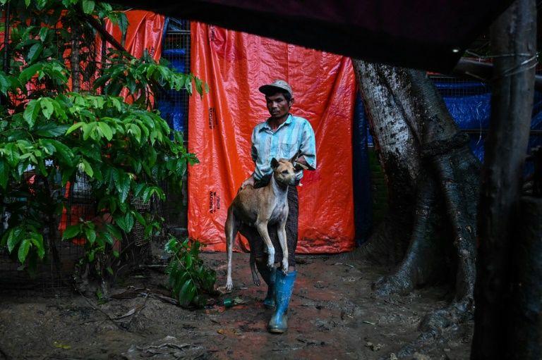 A worker carries a dog that has been brought in by Yangon authorities at Thabarwa Animal Shelter in Mawbe. (Ye Aung Thu / AFP)