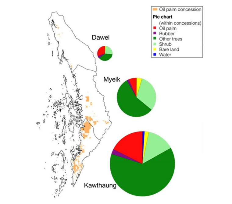 Planted area estimates by district. The pie charts show land use of concession areas in each district, with the size corresponding to the size of total concessions. (Nomura et al 2019).