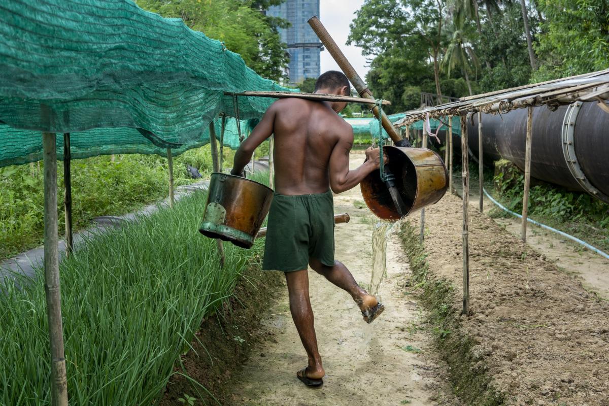 Urban farms run alongside the pipeline. (Matias Bercovich)