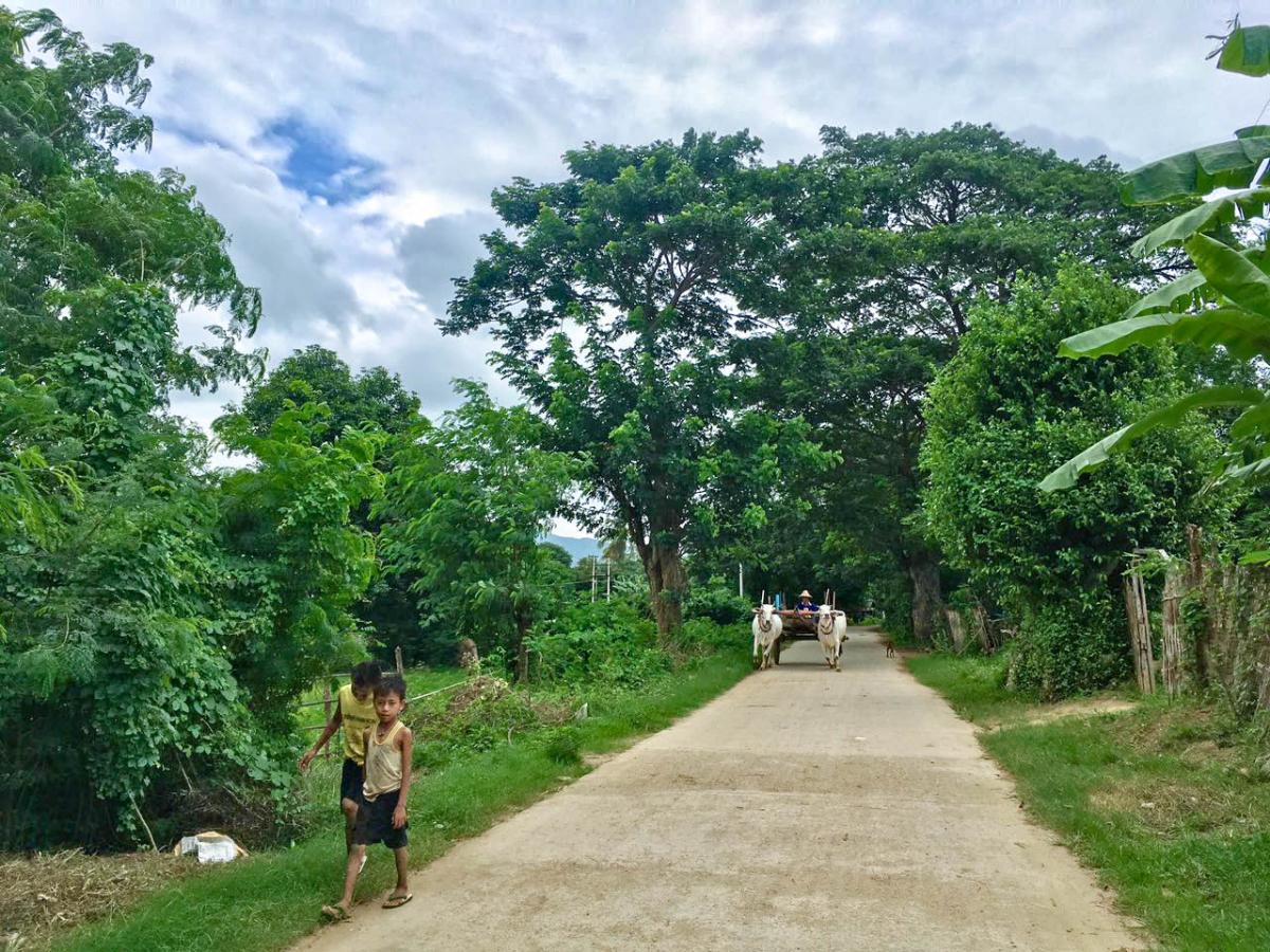 Riding towards the Sittang river from Naypyidaw through leafy country lanes. (Dominic Horner)