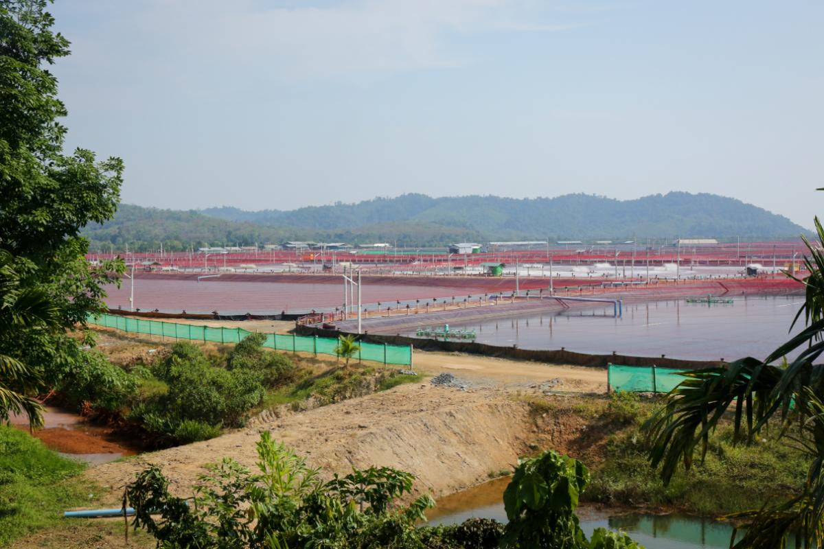 Shrimp and fish aquaculture projects near Kyunsu. (Victoria Milko / Mongabay)