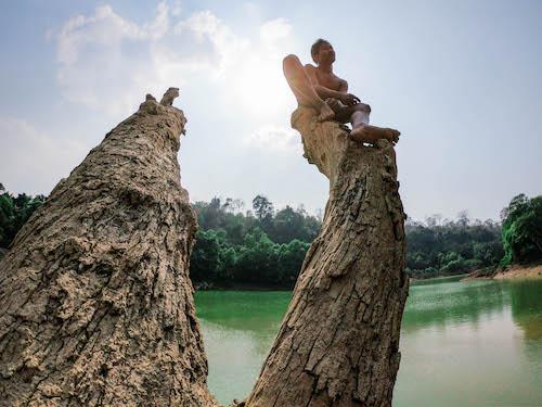 A tree protruding from the water makes for a rugged jump. (Dominic Horner)